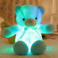 🔥New Year's Special Offer:60% OFF🎉Teddy bear, colourful LED light, soft toys🧸