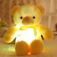 🔥New Year's Special Offer:60% OFF🎉Teddy bear, colourful LED light, soft toys🧸