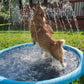🐕 50% RABATT NU! 💦 Fällbar Utomhuspool & Vattenspraymatta – Svalkande Spridukmatta för Varma Sommardagar – Håll Din Hund Glad, Hydrerad & Aktiv ☀️