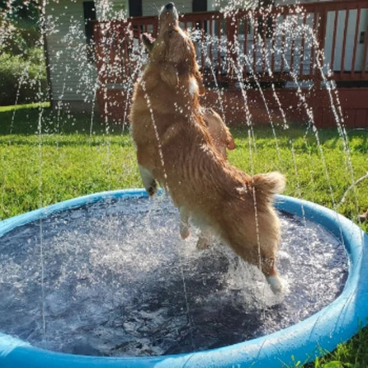 🐕 50% RABATT NU! 💦 Fällbar Utomhuspool & Vattenspraymatta – Svalkande Spridukmatta för Varma Sommardagar – Håll Din Hund Glad, Hydrerad & Aktiv ☀️