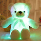 🔥New Year's Special Offer:60% OFF🎉Teddy bear, colourful LED light, soft toys🧸