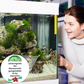 💕Över 30 000 sålda exemplar💕! 🐟Vattenreningstabletter för akvarier💧 – avlägsnar föroreningar, reglerar pH-värdet och är skonsamma mot fiskarna 🧪