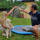 🐕 50% RABATT NU! 💦 Fällbar Utomhuspool & Vattenspraymatta – Svalkande Spridukmatta för Varma Sommardagar – Håll Din Hund Glad, Hydrerad & Aktiv ☀️