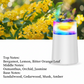 Smart Car Aroma Diffuser with Ambient Light