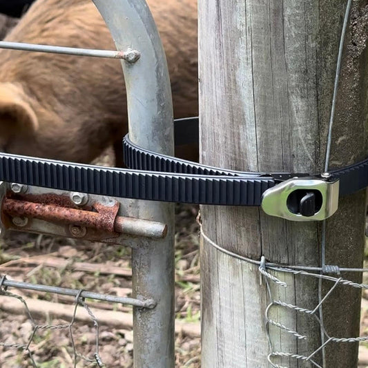 🔥 Hot Sale🔥Ultimate Secure Locking Fastening Strap