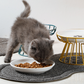 50 % RABATT! 🥣 Upphöjd keramisk kattskål med järnstativ – främjar hälsosam hållning, halksäker & perfekt för torr- & våtfoder 🐈
