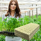 📢📢 50% RABATT!! ⏰ Jordfri odling – plantor