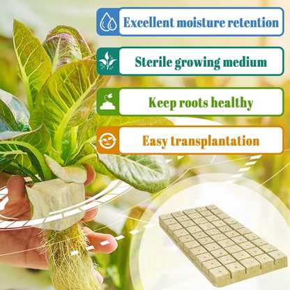 📢📢 50% RABATT!! ⏰ Jordfri odling – plantor