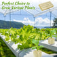 📢📢 50% RABATT!! ⏰ Jordfri odling – plantor
