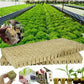 📢📢 50% RABATT!! ⏰ Jordfri odling – plantor