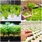 📢📢 50% RABATT!! ⏰ Jordfri odling – plantor
