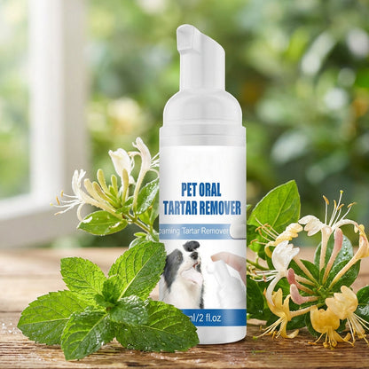 📢📢 50 % RABATT!! ⏰ Skummande tandstensborttagare för husdjur – fräsch andedräkt, friskare tänder & enkel att använda 🐶🐱✨