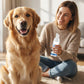 📢📢 50 % RABATT!! ⏰ Skummande tandstensborttagare för husdjur – fräsch andedräkt, friskare tänder & enkel att använda 🐶🐱✨