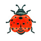 🐝 Tidsbegränsat erbjudande – 50% RABATT! ✨ 3D-insektsväggdekorationer – Bi, Fjäril, Nyckelpiga – Väderbeständig 🦋🐞