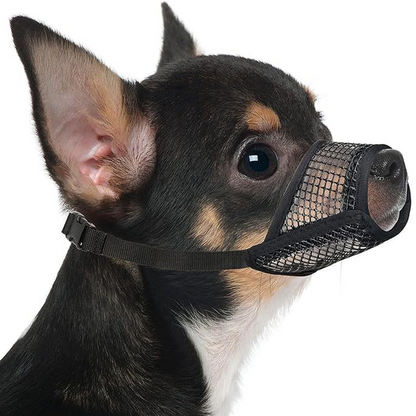 🕸️🐕 Andningsbart nätkorg för små hundraser