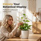 🌿 BEGRÄNSAD TID 50% RABATT! ✨ Bikakeformat Växtspaljé – Rostskyddad, Stapelbar, Enkel Installation 🐝